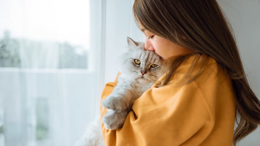 A woman affectionately holds a fluffy white cat, gently pressing her nose against its head, while standing near a window with soft light coming in - Veterinarian Anaheim CA A woman affectionately holds a fluffy white cat, gently pressing her nose against its head, while standing near a window with soft light coming in - Veterinarian Anaheim CA