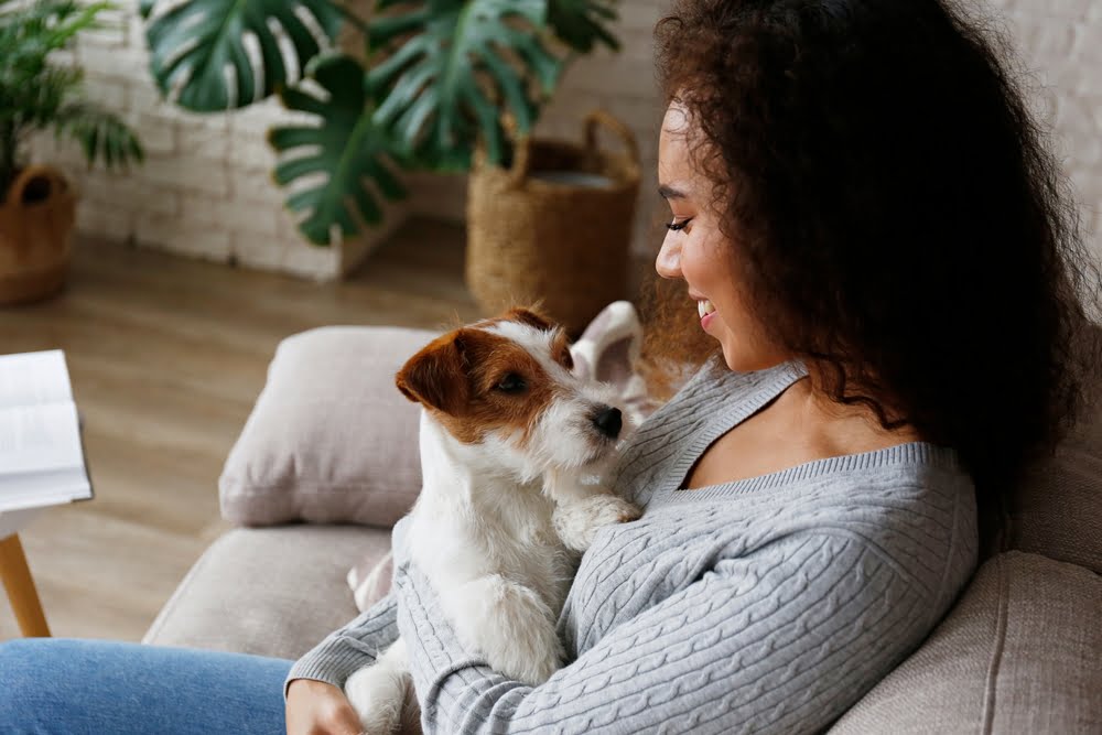 A woman smiles while holding her small white and brown dog on her lap as they sit on a couch - Veterinarian Anaheim CA A woman smiles while holding her small white and brown dog on her lap as they sit on a couch - Veterinarian Anaheim CA
